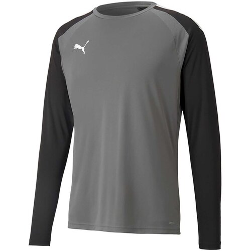 Puma Majice & Polo majice Teampacer Gk Ls Jersey Siva Cene