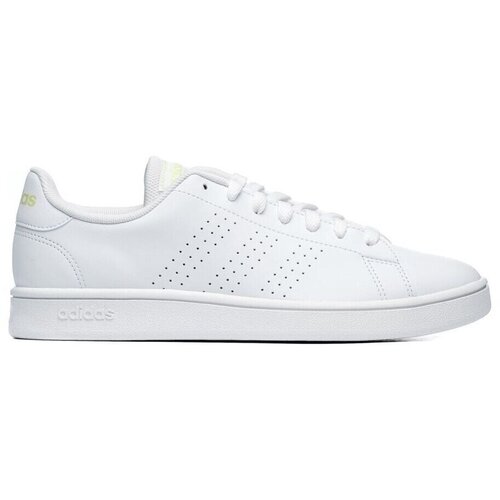 Adidas aDvantage Base Bijela Slike