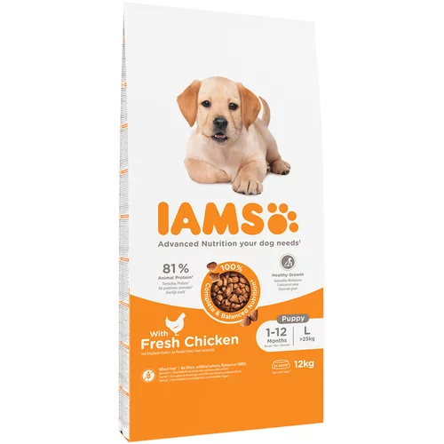IAMS 10 + 2 gratis! suha pasja hrana 12 kg - Advanced Nutrition Puppy Large s piščancem
