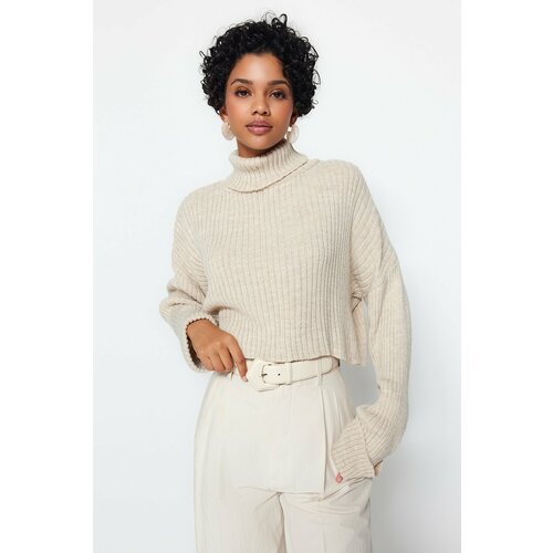Trendyol Sweater - Beige - Regular fit Cene