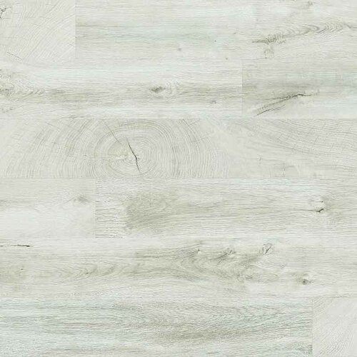  Laminat 8m 0251HG Hrast Sivi visoki sjaj 1383x159x8mm 2,20 m2 Cene