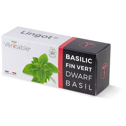 Veritable Lingot&amp;reg; Dwarf Basil - Organic Slike