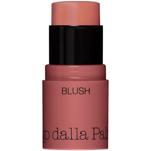 All in One &amp;ndash; Blush stick Slike