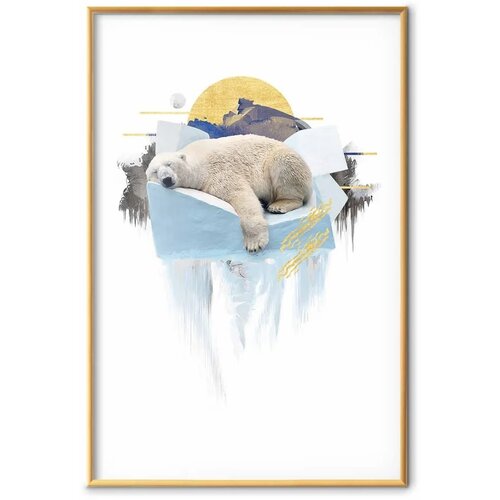  Plakat - Polar Bear 21x30 Zlatni okvir Cene