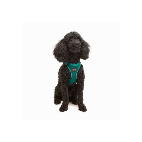 Paws & Whiskers Am za pse Air Mesh Emerald XL Cene