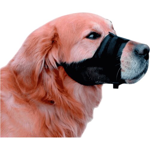 Nobby Najlonska korpa za pse - XL Slike