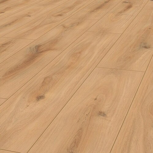 LOGOCLIC Edition Laminat Vinto Sunshine Hrast (D x Š x D: 1.288 x 245 x 8 mm, Rustikalni pod) + BAUHAUS jamstvo 20 godina Cijene