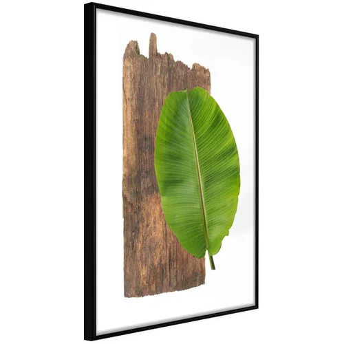  Poster - Forest Nature 40x60