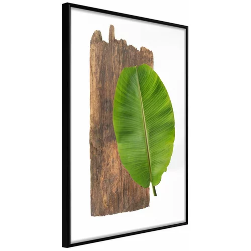  Poster - Forest Nature 40x60