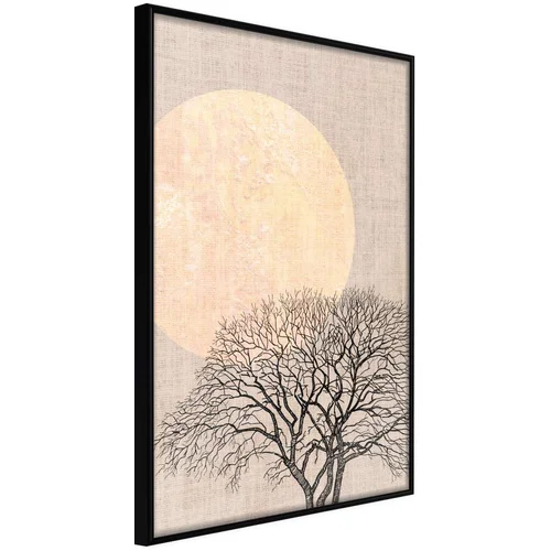  Poster - Tree in the Morning 20x30