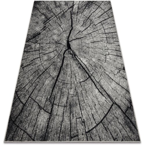 RugsX Preproge Preproga SILVER TRONKO Deblo drevesa les - 200x300 cm Siva Slike