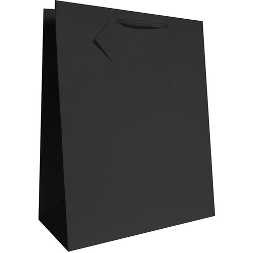  Vrečka darilna plast. mat a5 22,9x9,8x17,8 PROMOCIJA - ČRNA Cene