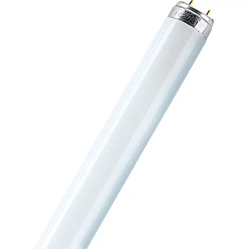 Osram Fluorescenčna sijalka Interna (T8, toplo bela, 36 W, dolžina: 120 cm, energetski razred: G)