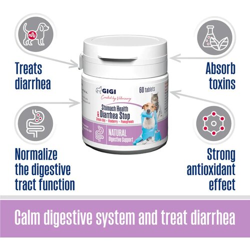 GIGI stomach health&diarrhea stop za zdravlje stomaka 60 tableta Cene