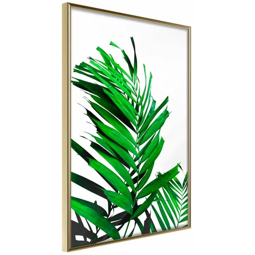  Poster - Emerald Palm 30x45