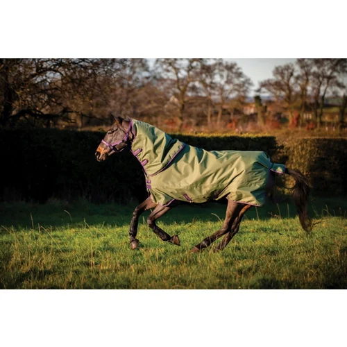 Horseware Ireland Pregrinjalo Amigo Hero Ripstop Plus 100g, Bramble/Winterberry - 155 cm