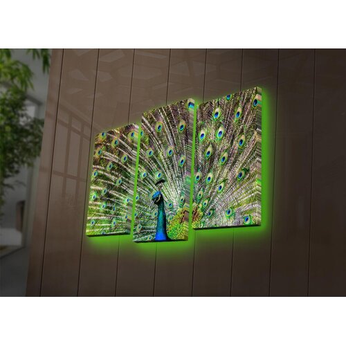 Wallity Set slika sa LED rasvjetom 3PATDACT-11, 3 dijela Cijene