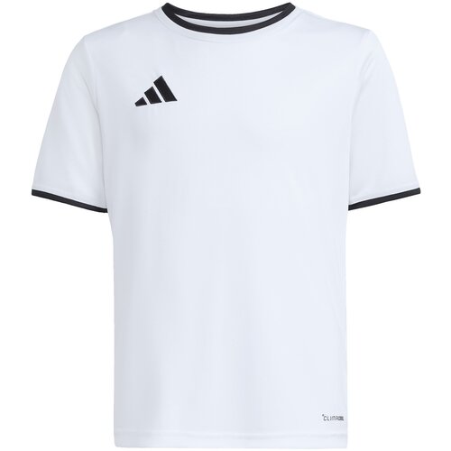 Adidas Majice s kratkimi rokavi Ent26 Jsy Y Slike