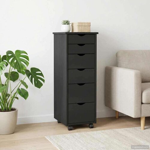  Gležnji kabinet Črna 34 x 39 x 93,5 cm Masivno borovo les, (5000263254) Cene