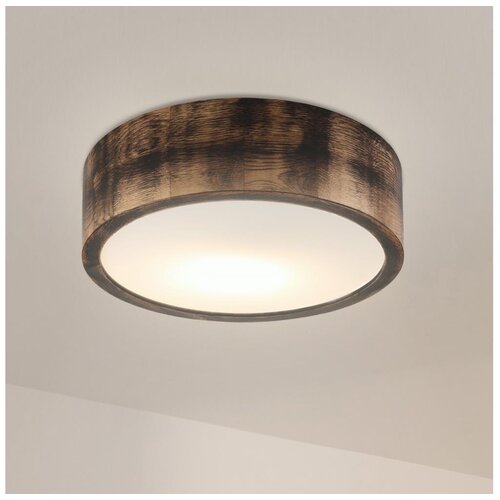 Brilagi plafonsko svetlo carvalho smokey 1xE27/60W/230V hrast, prečnik 27,5 cm Cene