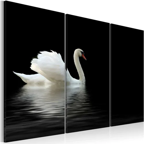  Slika - A lonely white swan 90x60