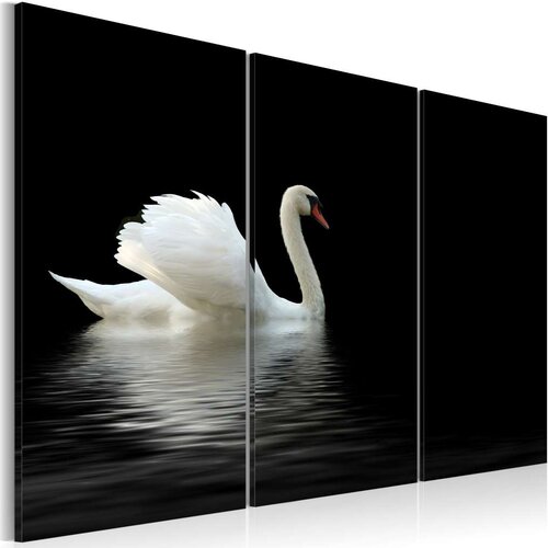  Slika - A lonely white swan 90x60 Slike