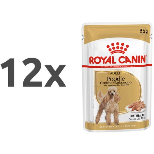 Royal_Canin Adult Poodle - pašteta 12 x 85 g Cene