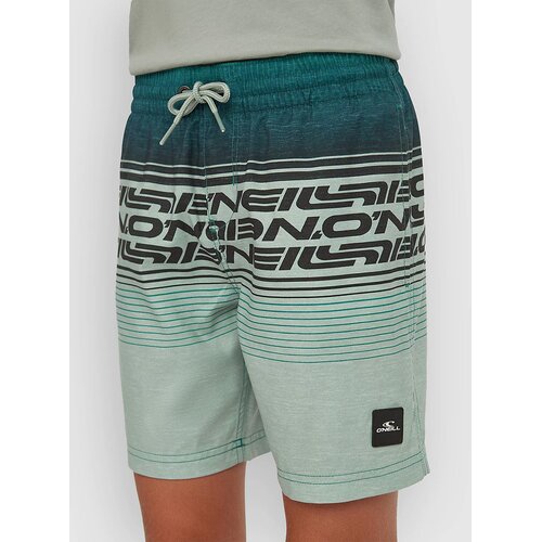 O'neill Logo Stripe Kids Boardshorts boys green heritage Cene