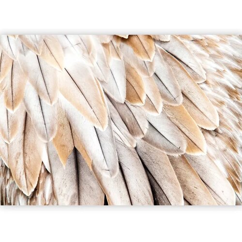  Foto tapeta - Close-up of bird's wings - uniform close-up on beige bird feathers 150x105 Cene