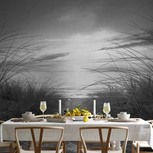  Foto tapeta - beach (black and white) 500x350 Cene