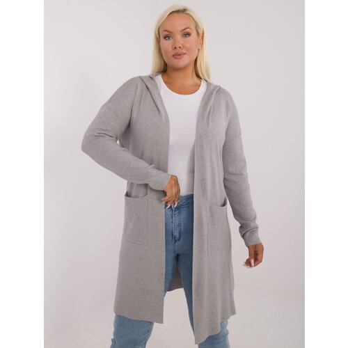Fashion Hunters Grey plus size cardigan with hood Slike