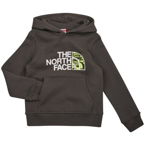 The North Face Boys Drew Peak P/O Hoodie Siva Cijene