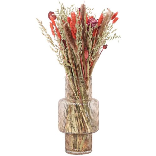 Plant in a Box posušeno cvetje - bouquet 'large zoey' - šopek - rdeča, (21758347) Cene