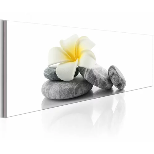  Slika - White Lotus 150x50