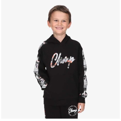 Champion Hooded sweatshirt Cene