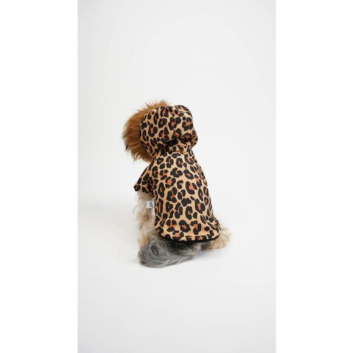 Paws & Whiskers Odelo za pse Leopar Coat, &Scaron;areno Cene