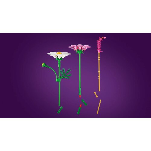 LEGO&amp;reg; Botanicals Botanical Collection - Cveće kosmosa (11514) Slike
