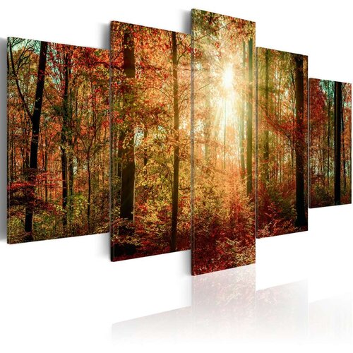  Slika - Autumn Wilderness 100x50 Slike