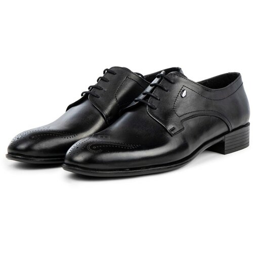 Ducavelli Taura Genuine Leather Men's Classic Shoes, Derby Classic Shoes, Lace-Up Classic Shoes. Slike