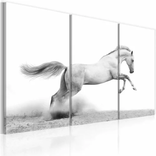  Slika - A galloping horse 60x40