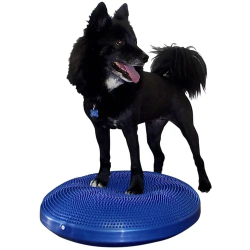 FitPAWS pasja podloga za ravnotežje 56 cm modra