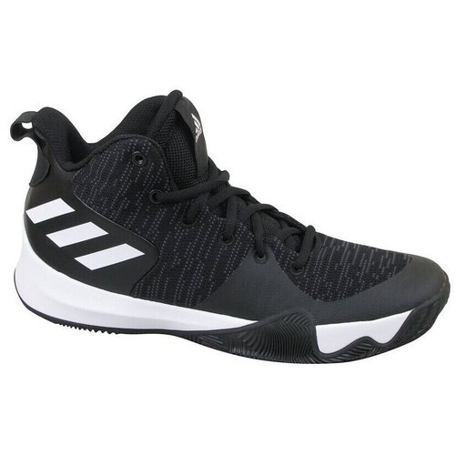 Adidas Košarka Explosive Flash Črna Cene