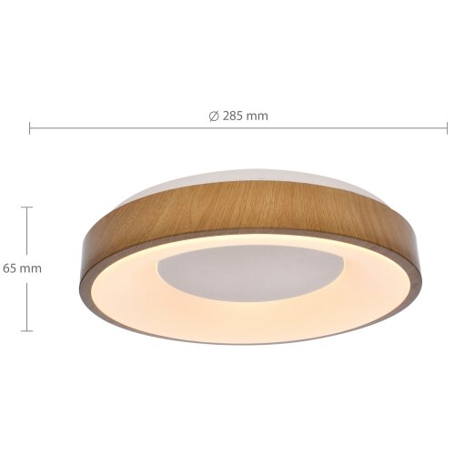  Brilagi - LED plafonsko svetlo DORIA LED/24W/230V Slike