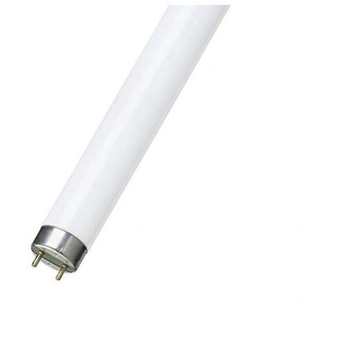 Philips Fluo cev TL-D 36W/54-765 G13 6200K 1213.60mm Cene