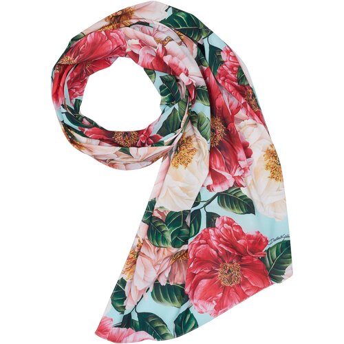 D&amp;amp;g &amp;Scaron;ali &amp;amp; Rute - Večbarvna Slike