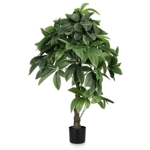  CVIJEĆE PACHIRA 120CM U SAKSIJI 0172861 Slike