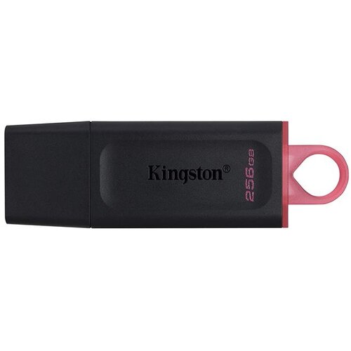 MEM UFD 256GB DTX KIN Slike