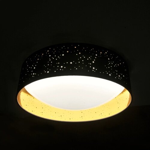  LED stropno svetlo TULUZA LED/24W/230V prečnik 40 cm crno Slike