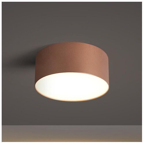 Brilagi LED Plafonsko svetlo za kupatilo FORIS LED/14W/230V prečnika 12 cm bronza IP44 Slike
