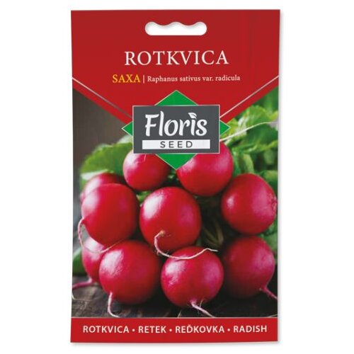 Floris seme povrće-rotkvica saxa 20g FL Cene